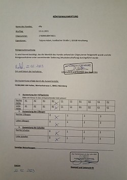 Röntgenauswertung