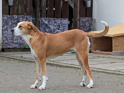 4 Wochen nach dem Decken!