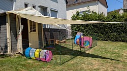 Aufzucht