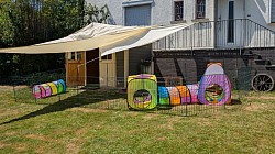 Aufzucht
