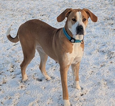 Wir freuen uns auf das bevorstehende Jahr!